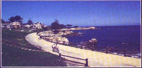 Monterey Bay as seen from a Pacific Grove Bicycle path